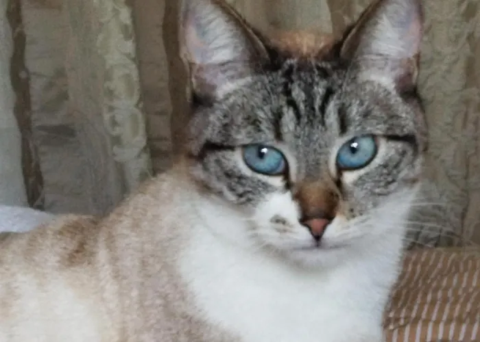 Ev'reve 住宿加早餐酒店